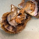 しながわ水族館に投稿された画像（2021/1/17）