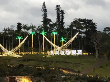 美らヤシパークオキナワ・東南植物楽園に投稿された画像（2021/1/17）