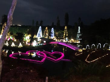 美らヤシパークオキナワ・東南植物楽園に投稿された画像（2021/1/17）