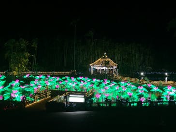 美らヤシパークオキナワ・東南植物楽園に投稿された画像（2021/1/17）