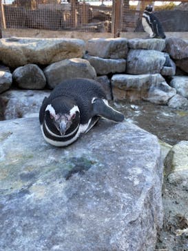 株式会社Gに投稿された画像（2021/1/18）