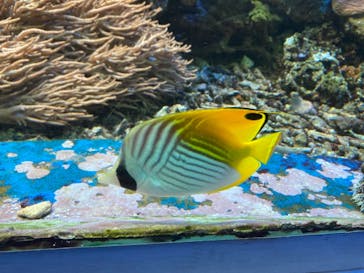 株式会社Gに投稿された画像（2021/1/18）