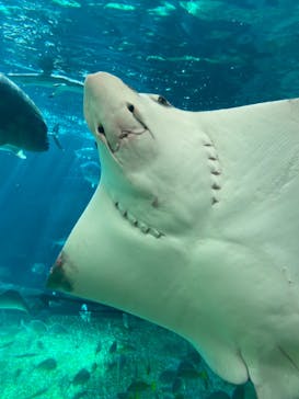 株式会社Gに投稿された画像（2021/1/18）