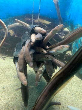 株式会社Gに投稿された画像（2021/1/18）