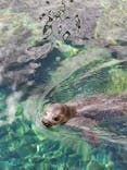 箱根園水族館に投稿された画像（2021/1/18）