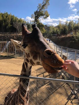 しろとり動物園に投稿された画像（2021/1/18）