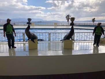 マリンワールド海の中道に投稿された画像（2021/1/18）