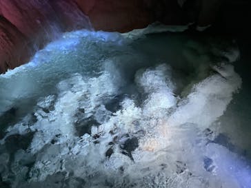 おきなわワールドに投稿された画像（2021/1/19）