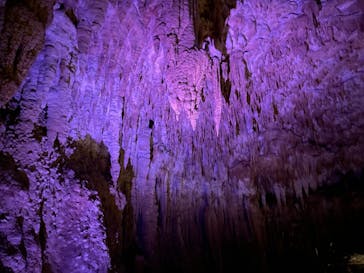 おきなわワールドに投稿された画像（2021/1/19）