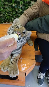 しろとり動物園に投稿された画像（2021/1/19）