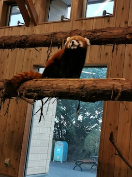 伊豆シャボテン動物公園に投稿された画像（2021/1/19）