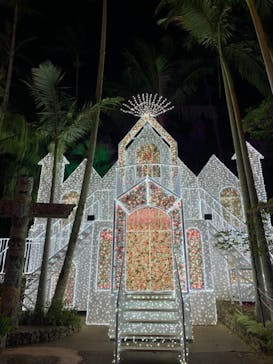 美らヤシパークオキナワ・東南植物楽園に投稿された画像（2021/1/19）