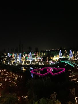 美らヤシパークオキナワ・東南植物楽園に投稿された画像（2021/1/19）