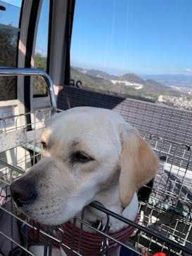 伊豆パノラマパークに投稿された画像（2021/1/20）