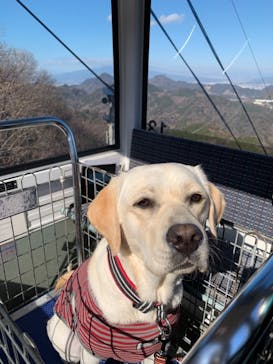 伊豆パノラマパークに投稿された画像（2021/1/20）