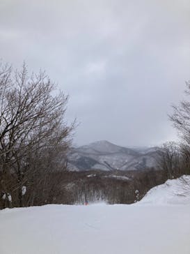 スプリングバレー仙台泉スキー場に投稿された画像（2021/1/20）