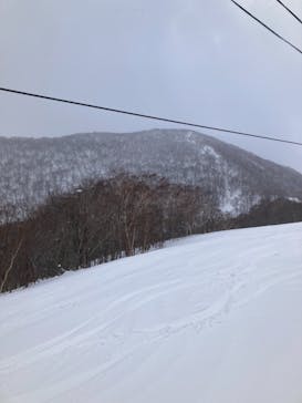 スプリングバレー仙台泉スキー場に投稿された画像（2021/1/20）