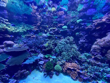 大分マリーンパレス水族館 「うみたまご」に投稿された画像（2021/1/20）