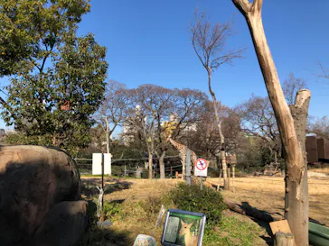 天王寺動物園に投稿された画像（2021/1/21）