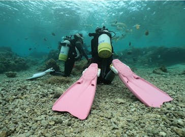 DIVING-SHOP SUNSに投稿された画像（2021/1/21）