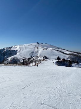 びわ湖バレイに投稿された画像（2021/1/21）