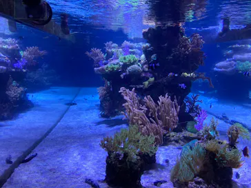 すみだ水族館に投稿された画像（2021/1/21）