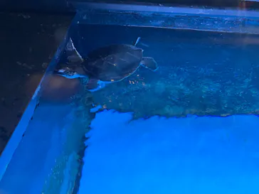 すみだ水族館に投稿された画像（2021/1/21）