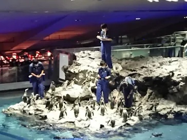 すみだ水族館に投稿された画像（2021/1/21）