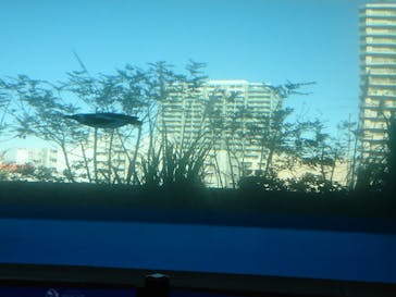 サンシャイン水族館に投稿された画像（2021/1/21）