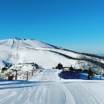 びわ湖バレイに投稿された画像（2021/1/21）