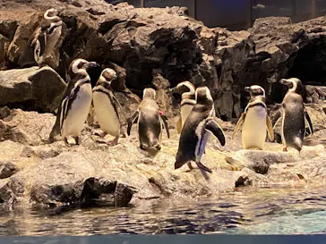 すみだ水族館に投稿された画像（2021/1/21）