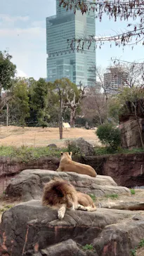 天王寺動物園に投稿された画像（2021/1/22）