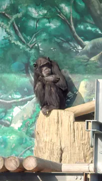 天王寺動物園に投稿された画像（2021/1/22）