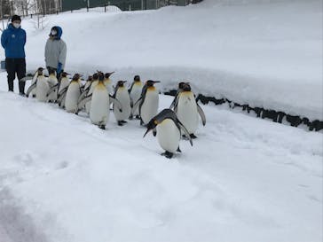 旭川市旭山動物園に投稿された画像（2021/1/22）
