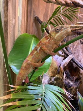 体感型動物園iZooに投稿された画像（2021/1/22）