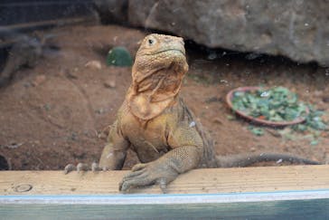 体感型動物園iZooに投稿された画像（2021/1/22）