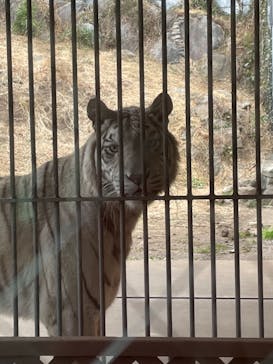 伊豆アニマルキングダムに投稿された画像（2021/1/22）