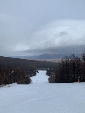 サンメドウズ清里に投稿された画像（2021/1/22）