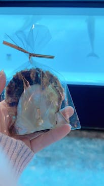 しながわ水族館に投稿された画像（2021/1/22）