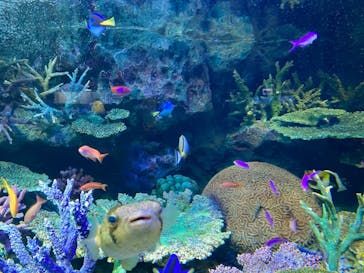 サンシャイン水族館に投稿された画像（2021/1/22）