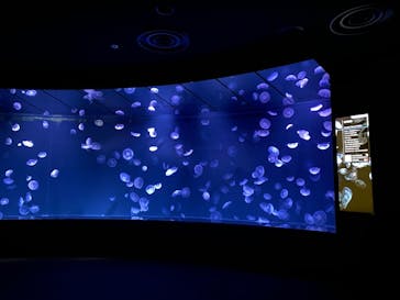 サンシャイン水族館に投稿された画像（2021/1/22）