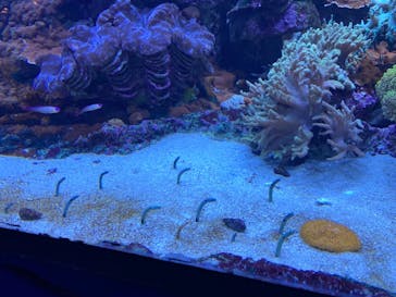 サンシャイン水族館に投稿された画像（2021/1/22）