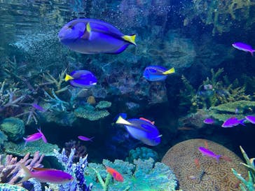 サンシャイン水族館に投稿された画像（2021/1/22）