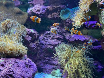 サンシャイン水族館に投稿された画像（2021/1/22）