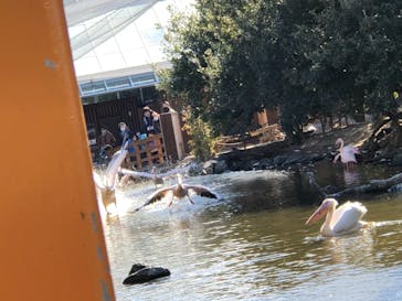 神戸どうぶつ王国に投稿された画像（2021/1/22）