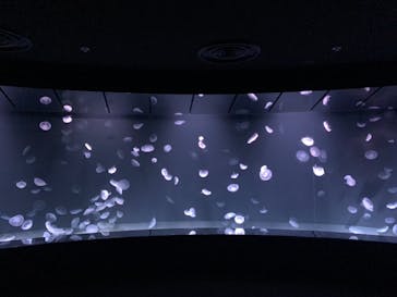 サンシャイン水族館に投稿された画像（2021/1/23）