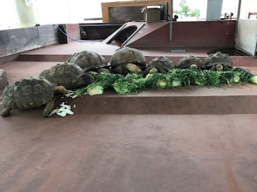 株式会社Gに投稿された画像（2021/1/23）