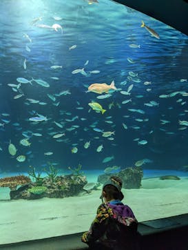 サンシャイン水族館に投稿された画像（2021/1/23）