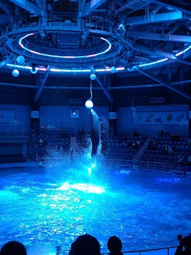 マクセル アクアパーク品川に投稿された画像（2021/1/23）