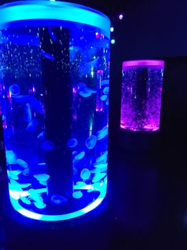 マクセル アクアパーク品川に投稿された画像（2021/1/23）